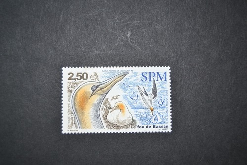 Saint pierre miquelon - et,