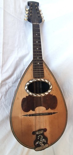 Mandoline année 1898 fratres - année,