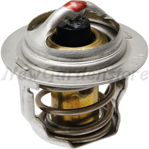 Thermostat pour moteur - pour,