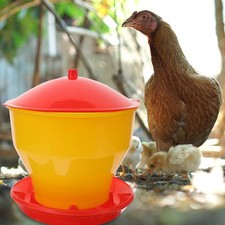  Nourrisseur Poule Mangeoire À Poulet Automatique Pour Poussins Volailles