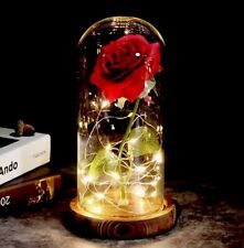 Drop shipping Galaxy Rose