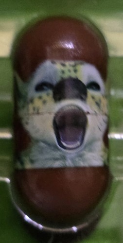 Marsupilami sur piste du - sur,