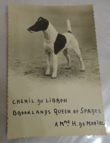 Format cpa chenil libron - format,