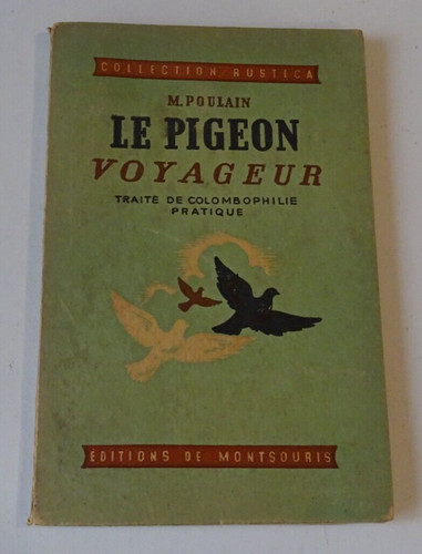 Poulain pigeon voyageur - pigeon,