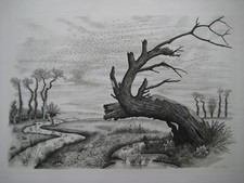 NOTTON TAVY GRAVURE SIGNÉE AU