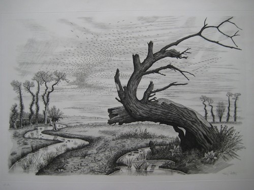 Notton tavy gravure - notton,