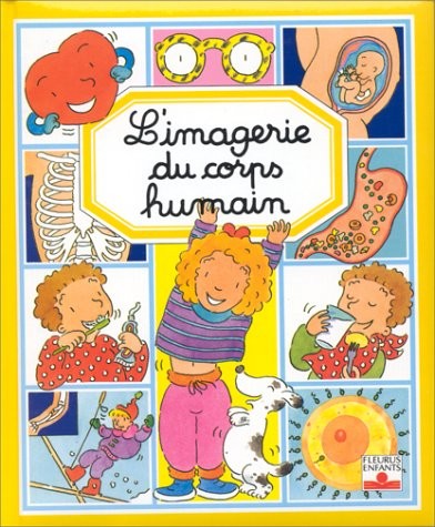 Imagerie corps humain - l'imagerie,
