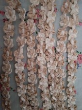 Ancien galon lacet rococo