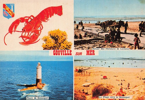 Gouville sur mer - 50,