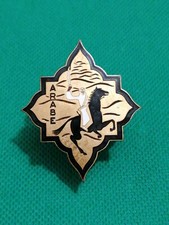 Insigne militaire Guerre