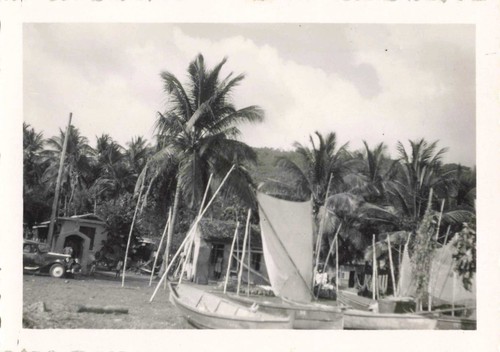 Ancienne photographie 1950 - ancienne, ~1950