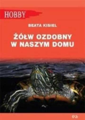 żółw ozdobny naszym domu - ozdobny, w