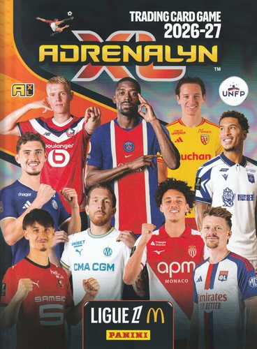 Auxerre carte panini - -,