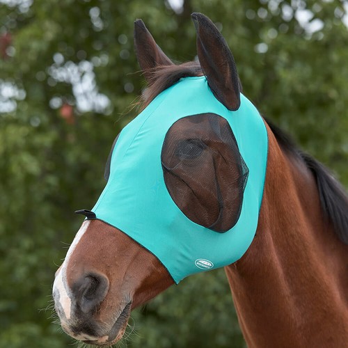 Weatherbeeta stretch bug - weatherbeeta, eye