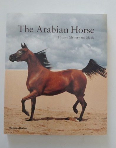 Cheval arabe histoire - arabe, :
