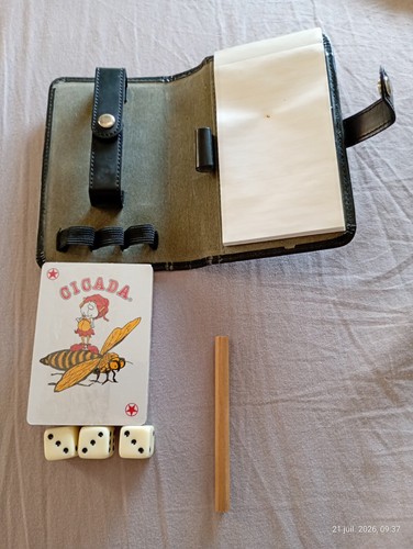 étuis jeux cartes pierre - Étuis,