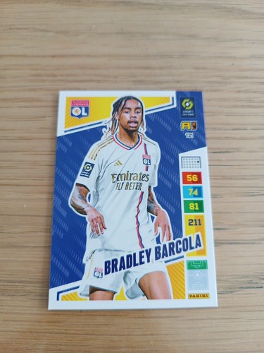 Bradley barcola panini - bradley,