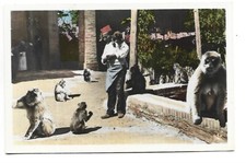 ALGERIE  BLIDA  AU RUISSEAU