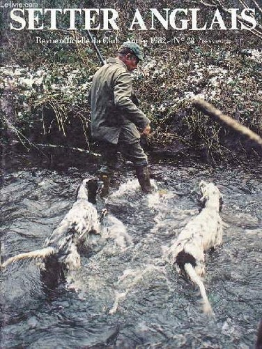Setter anglais revue - anglais,,
