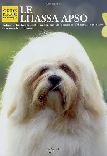 Lhassa apso l - apso, l'éducation