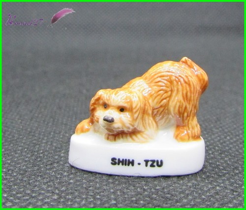 Fève animaux chien shih - fève, le
