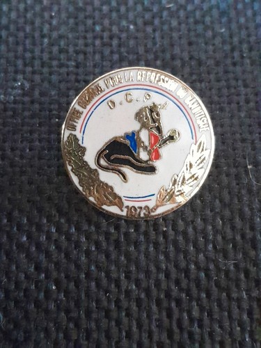 Pin police dcpj répression - police,