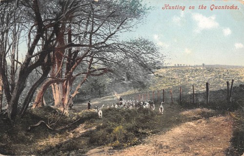 Cpa chasse courre - chasse, /