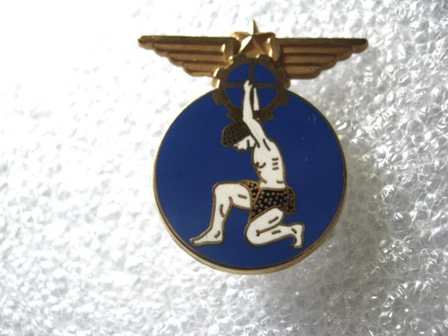 Insigne armee air - insigne, alat