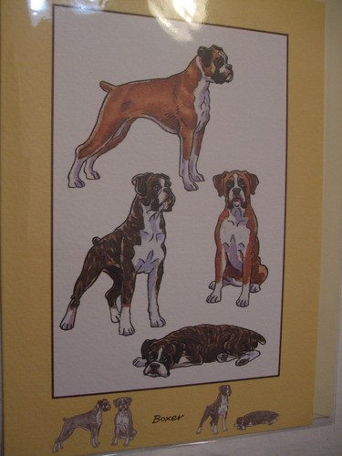 Carte enveloppe chien - -,