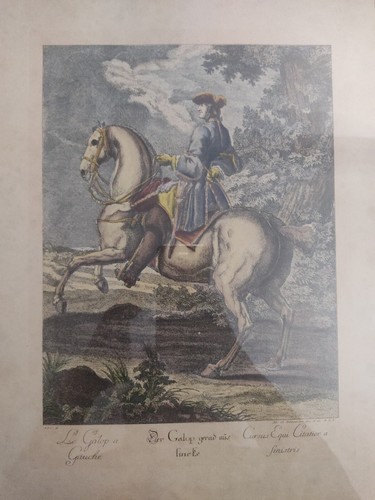 Ancienne gravure ridinger - ancienne,