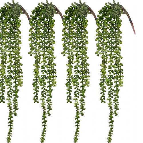 Cewor lot plantes - lot, de