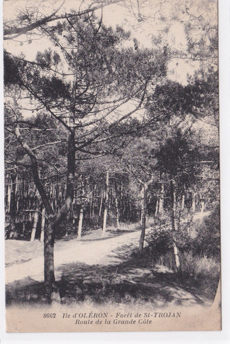 Carte postale cpa ile - 17,