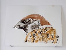 Moineau friquet AQUARELLE ORIGINALE Portrait d'oiseau Jardin Home Decor Peinture