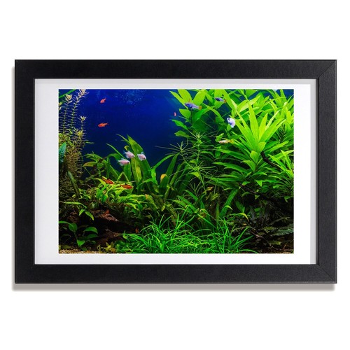 Tulup photo salon 30x20cm - tulup,