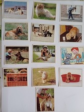 lot 13 stickers Yopi Yoplait animaux familiers Panini 5,5cm /7 cm