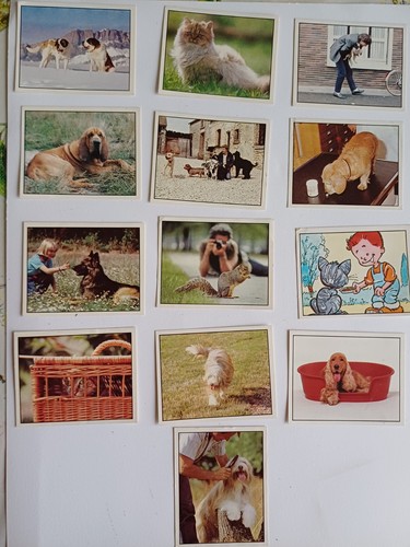 Lot stickers yopi - stickers, yoplait