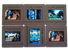 la foret enchantee El bosque