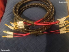 Câbles enceinte DH Labs Silvers Sonic Q-10 Signature 2 x 2m avec fiches bananes