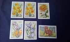 6 Anciennes Images editions educatives Paris serie A Calvet Rogniat Fleurs