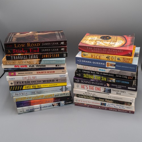 Gay novels erotica - gay,
