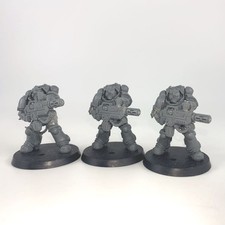 x3 Primaris Eradicators