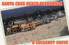 ETATS UNIS SANTA CRUZ COCONUT GROVE