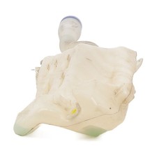 Bocal lave glace - Citroen C4 II PH.2 - 00006431Q2 - M0-9889A