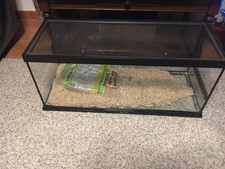 A Vendre Terrarium 76/30/30