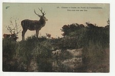 FONTAINEBLEAU - Seine & Marne