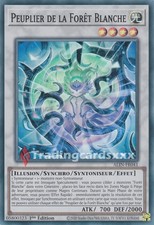 Yu-Gi-Oh! Peuplier de la Forêt Blanche : SR ALIN-FR041