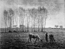 La NUEE DE CORBEAUX (par MILLET) - Gravure du 19e siècle Grand Format