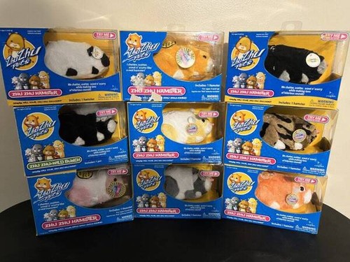 Zhu pets hamster - pets,