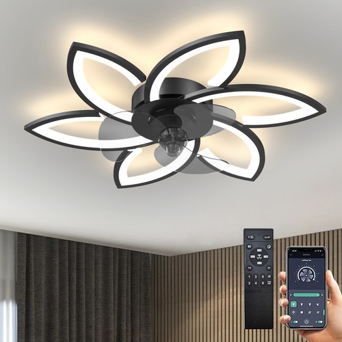 Plafonnier ventilateur - plafonnier,