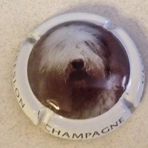 Capsule champagne glod - de,